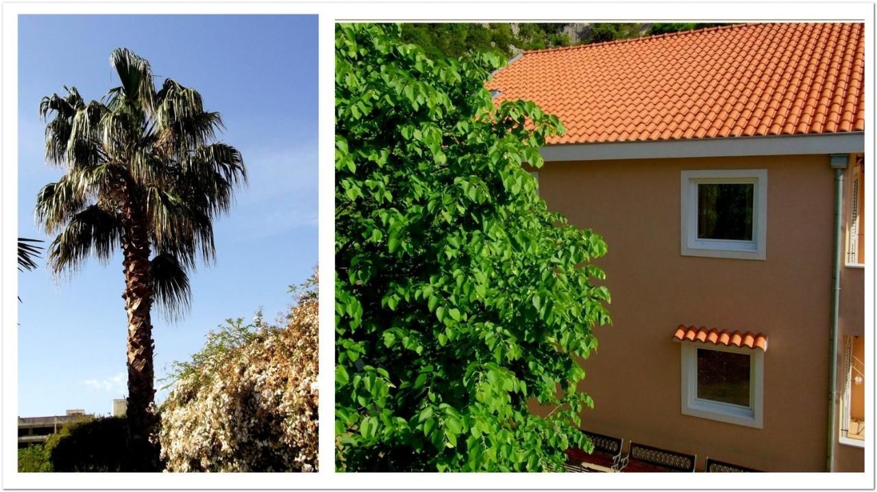 Апартаменты Apartment with 2 bedrooms in Risan, with wonderful mountain view, enclosed garden and WiFi - 100 m from the beach Рисан-28